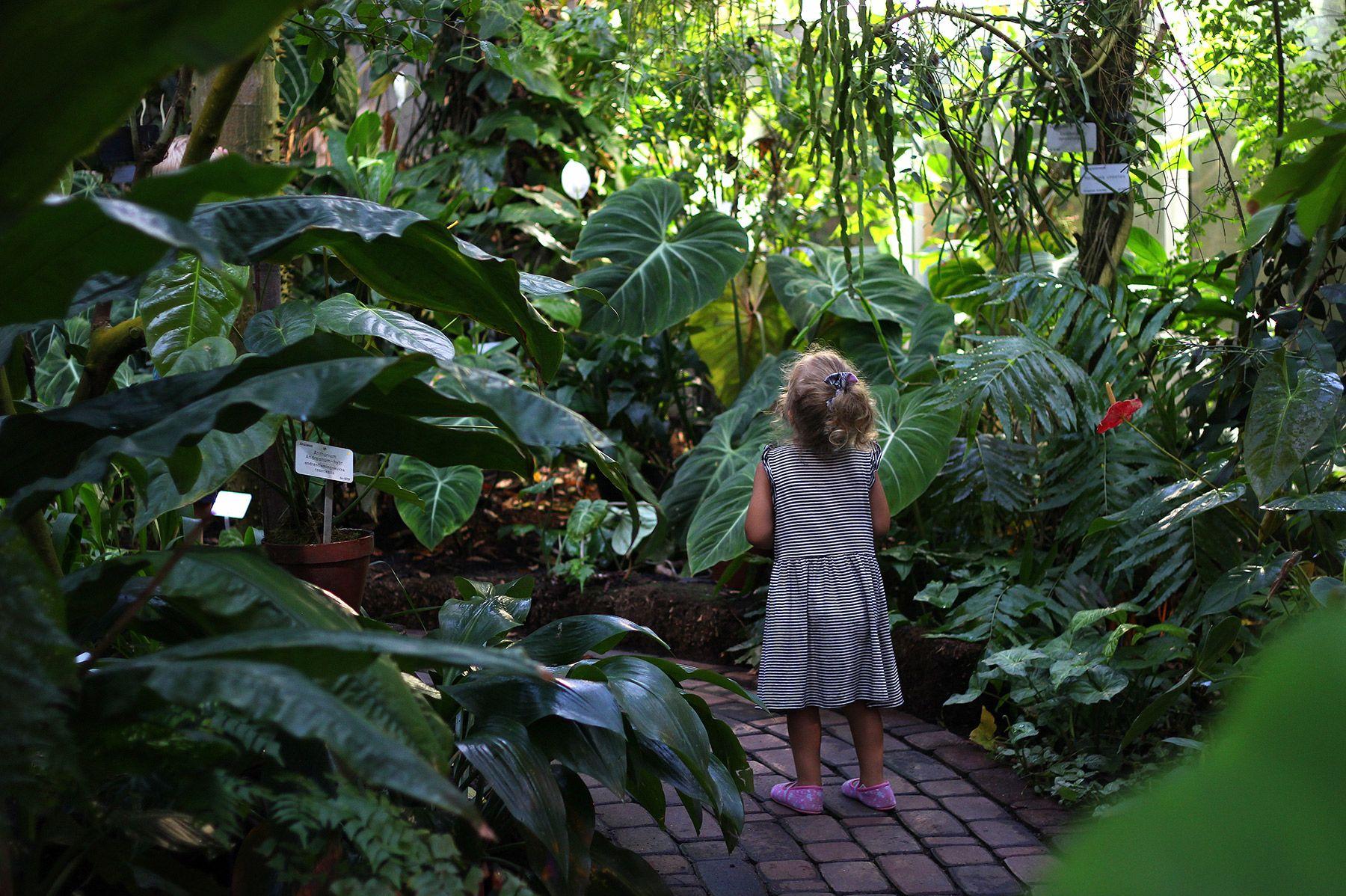 A young girl stands on a path, surrounded by trees, at Turku University Botanic Garden.