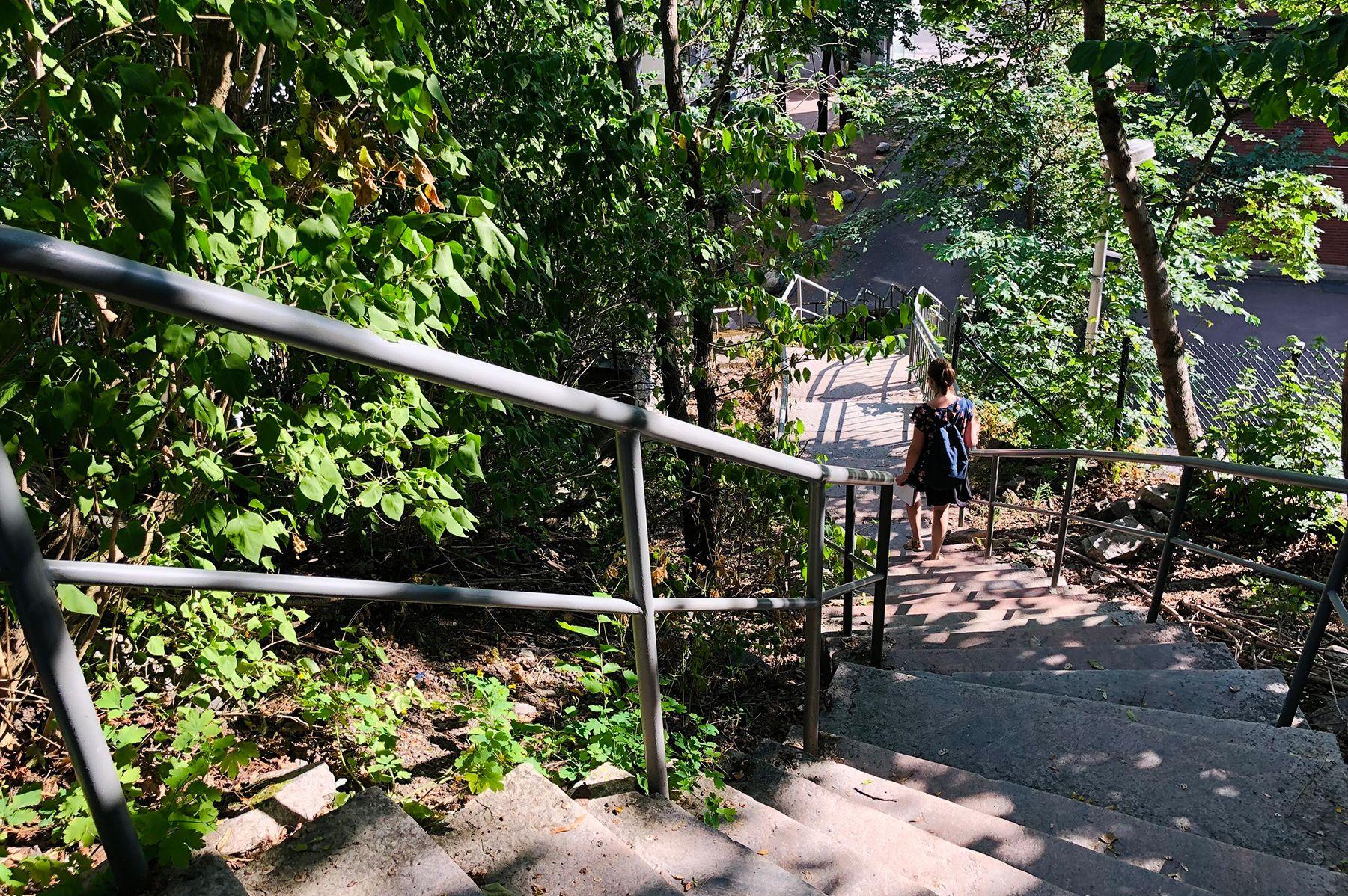 Jyrkät ja pitkät kiviportaat puiden varjossa Vartiovuorella. Henkilö kävelee portaita alas.