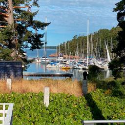 Boats docked at Airisto Marina on a sunny day. Trees surround the harbour.