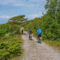A group of three cyclists wind their way along a path on Örö Fortress Island.